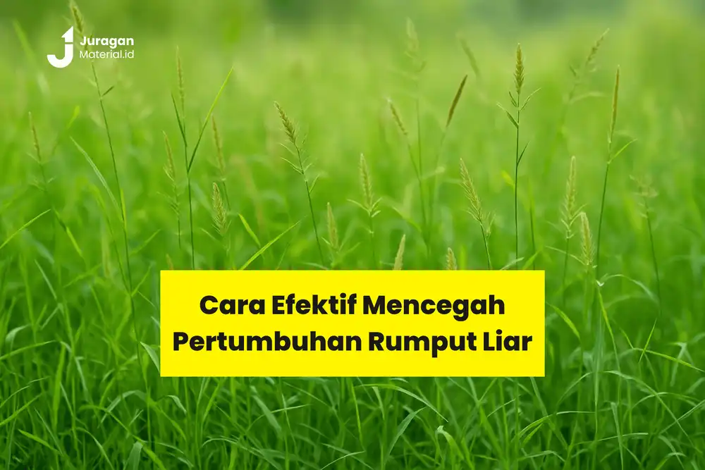 RUMPUT .png
