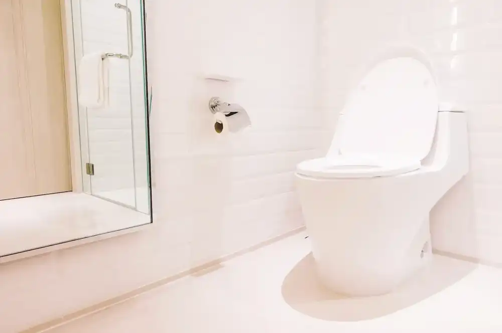Toilet Duduk vs Jongkok.webp