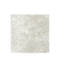 Foto dari produk Granite Tile Granito Artile Outback Brumby - 60x60