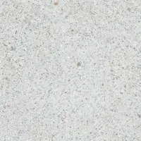 Foto dari produk Granite Tile Niro Grigio Chiaro D0080 - 60x60