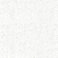 Foto dari produk Granite Tile Indogress White Terrazzo - 60x60