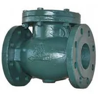 Foto dari produk Check Valve Gala JIS 10k 2 1/2"