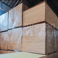 Foto dari produk Triplek Meranti Campur (MC) Non Sanding (NS) 122cm X 244cm X 12mm