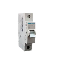 Foto dari produk Aksesoris Listrik Hager MCB 1ph 20A/10Ka