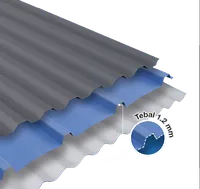Foto dari produk Atap uPVC Rooftuff SL Roma Panjang 5 m - Grey