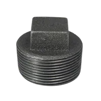 Foto dari produk Aksesoris Pipa TSP Dop Drat Luar Hitam BS 1/2"