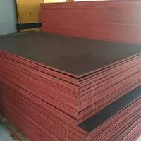 Foto dari produk Triplek Meranti Campur (MC) Phenolic 18mm