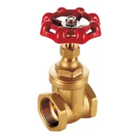Foto dari produk Gate Valve AMD Brass 1/2 inch
