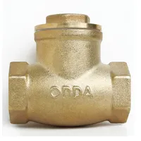 Foto dari produk Check Valve Onda 4"