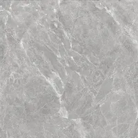 Foto dari produk Granite Tile Essenza Grecia Marble - 60x60, Grey