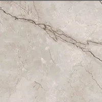 Foto dari produk Granite Tile Nara Ceramica NA60MG017 - Sapporo - 60x60, Coffee