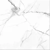 Foto dari produk Granite Tile Nara Ceramica NA60MG089 - Statuario - 60x60, White