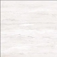 Foto dari produk Granite Tile Nara Ceramica NA60SG006 - Ishiyama - 60x60, Kilap