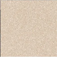 Foto dari produk Granite Tile Arna Arcadia - 60x60, Beige