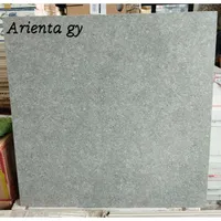 Foto dari produk Granite Tile Arna Arienta - 60x60, Grey