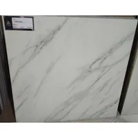 Foto dari produk Granite Tile Arna Lavani  - 60x60, White