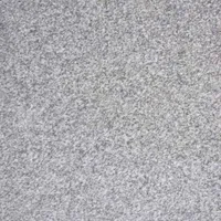 Foto dari produk Granite Tile Essenza Beola - 60x60, Grey
