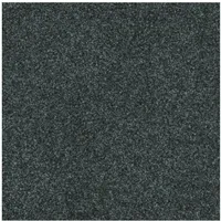 Foto dari produk Granite Tile Essenza Carbone - 60x60, Graniti