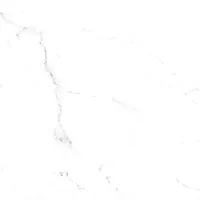 Foto dari produk Granite Tile Essenza Carrara  - 60x60, Grey