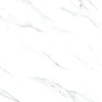 Foto dari produk Granite Tile Garuda GS69M05W - 60x60, Chiaro