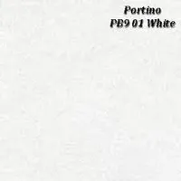 Foto dari produk Granite Tile Portino PB901