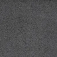 Foto dari produk Granite Tile Roman GT602134CR dAugusta Black - 60x60