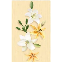 Foto dari produk Keramik Ikad Premiere PXD 3256A DO - 25x40, Kilap