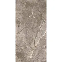 Foto dari produk Keramik Roman W63426R dRivoli Grigio - 30x60