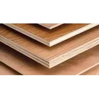 Foto dari produk Triplek NB BS 122cm X 244cm X  12 mm