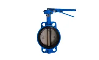 Foto dari produk Butterfly Valve Yuta 2 1/2" CI PN 16 CUL