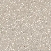 Foto dari produk Granite Tile Valentino Tirso Bianco - 60x60