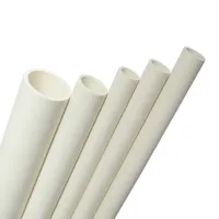 Foto dari produk Aksesoris Listrik Pralon Pipa Conduit 25mm