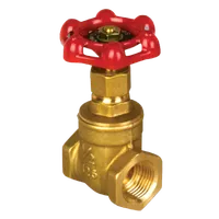 Foto dari produk Gate Valve Yuta SCR BR 125# GT 1"