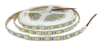 Foto dari produk Lampu & Armatur  Citrus LED Strip 5050 IP 33 12V WW Type B
