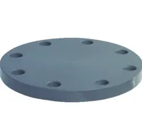 Foto dari produk Aksesoris Pipa NB Blind Flange JIS 10K - 6"