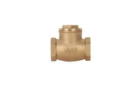 Foto dari produk Check Valve Yuta 2" SW SCR 125#C