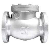 Foto dari produk Check Valve Yuta FL CI 125CC 4" 