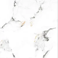 Foto dari produk Granite Tile Crystal Aqua Statuorio Gold - 60x60