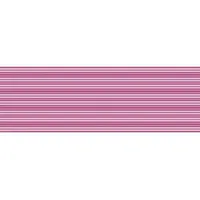 Foto dari produk Promo Granit Tile Roman W62715 dSpettro Rosa - 60x20