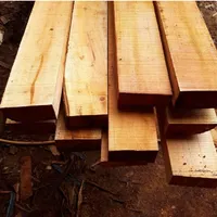 Foto dari produk Kayu Kaso NB 5x7 cm per m3 - Kayu standard