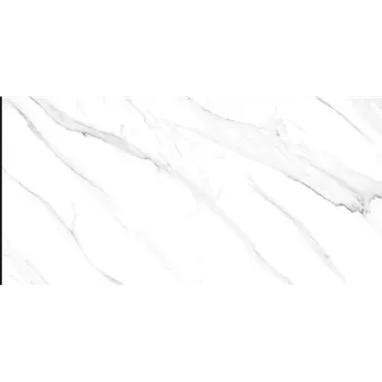 Gambar Granite Tile Nara Ceramica NA62MG023 - Himalaya - 60x120, White di Juragan Material