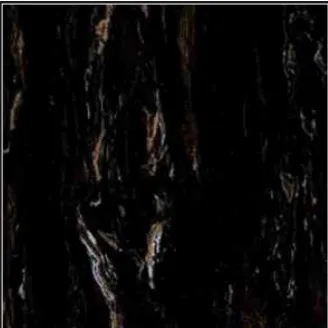 Gambar Granite Tile Nara Ceramica NA60MG050 - Marble - 60x60, Beige di Juragan Material