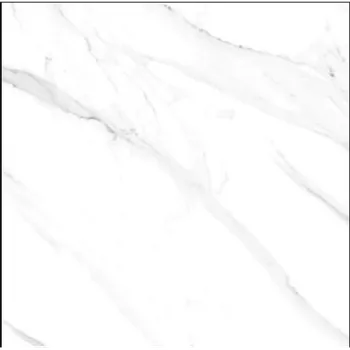 Gambar Granite Tile Nara Ceramica NA60MM023 - Himalaya - 60x60, White di Juragan Material