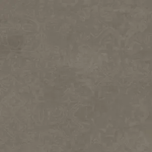 Gambar Granite Tile Niro Clay Art GCA04IL Moss  - 60x60 di Juragan Material