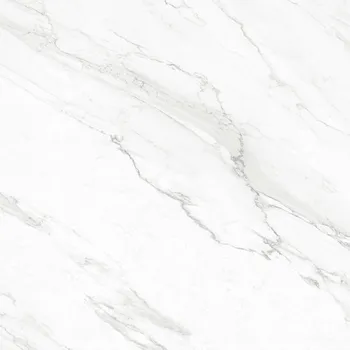 Gambar Granite Tile Roman GT1009444FR dTrevi Calacatta - 100x100 di Juragan Material