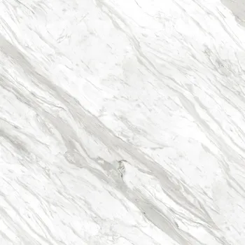 Gambar Granite Tile Roman GT1009454FR dVasa Carrara - 100x100 di Juragan Material