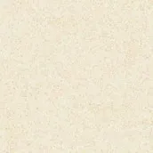 Gambar Granite Tile Roman GT332402R dConcept Beige - 30x30 di Juragan Material