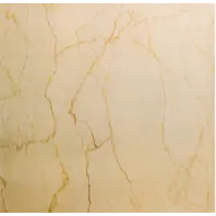 Gambar Granite Tile Torch LV824 di Juragan Material
