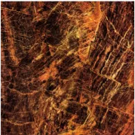Gambar Granite Tile Torch NYJ8613 di Juragan Material