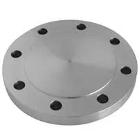 Gambar Pipa Galvanis & kelengkapan NB Blind Flange Jis 16k 5" di Juragan Material